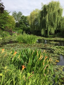 Monet's Water Garden 07.12.15