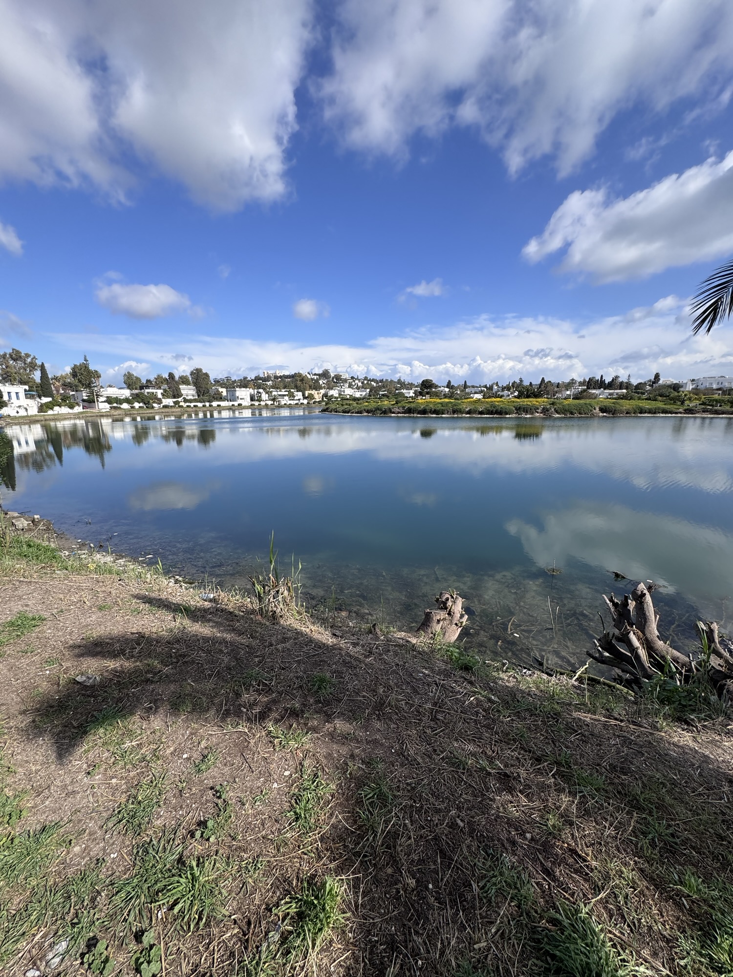 Mediterranean Travel Devotional Tunis